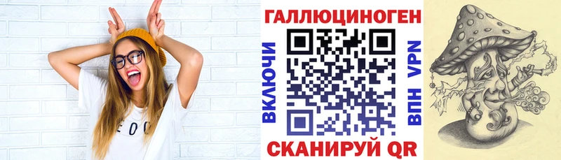 Галлюциногенные грибы GOLDEN TEACHER  где купить наркотик  ссылка на мегу сайт  Вихоревка 